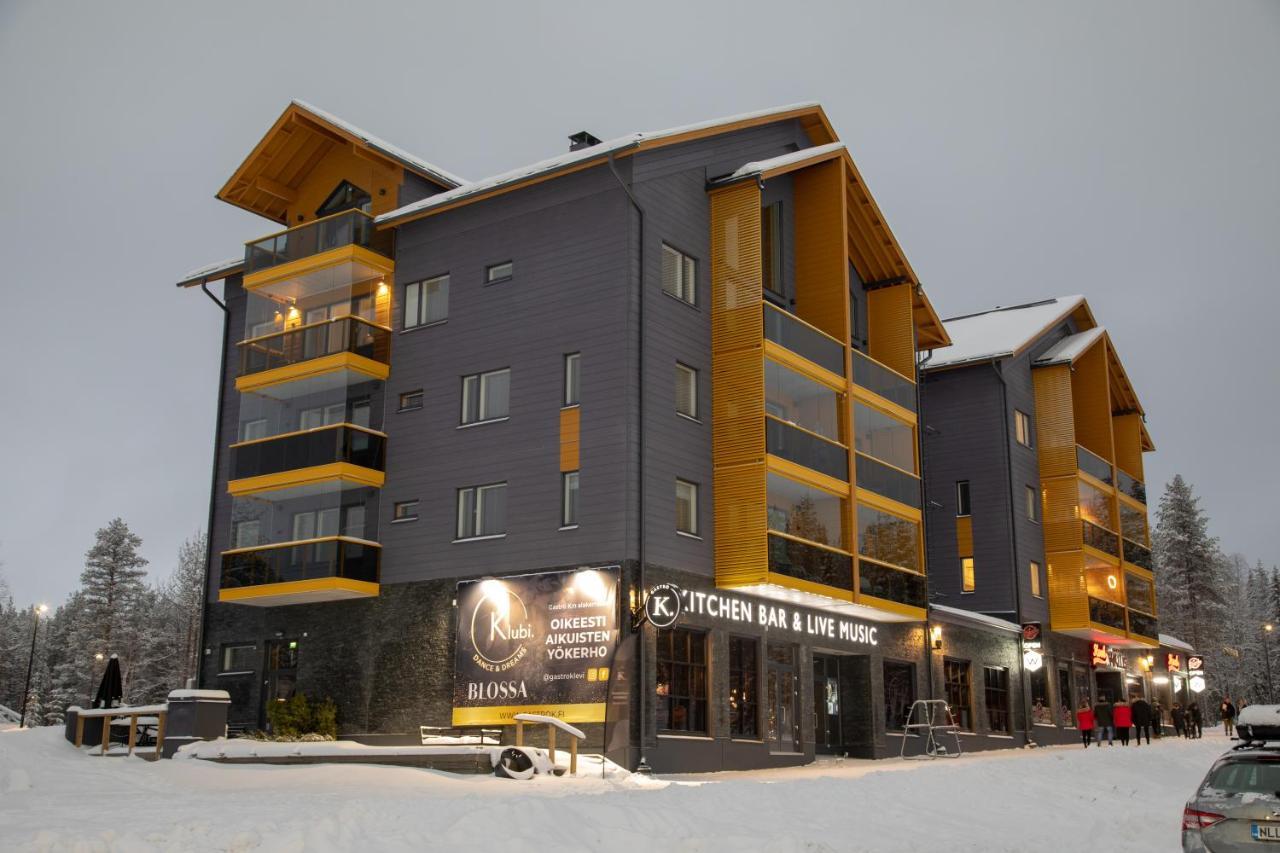 Levin Kunkku B2 Apartment Grey Екстер'єр фото